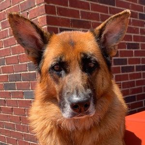 Meet your Posher, Mary